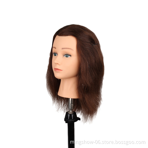 Wholesale top quality famela  american training mannequin head with indian human hair